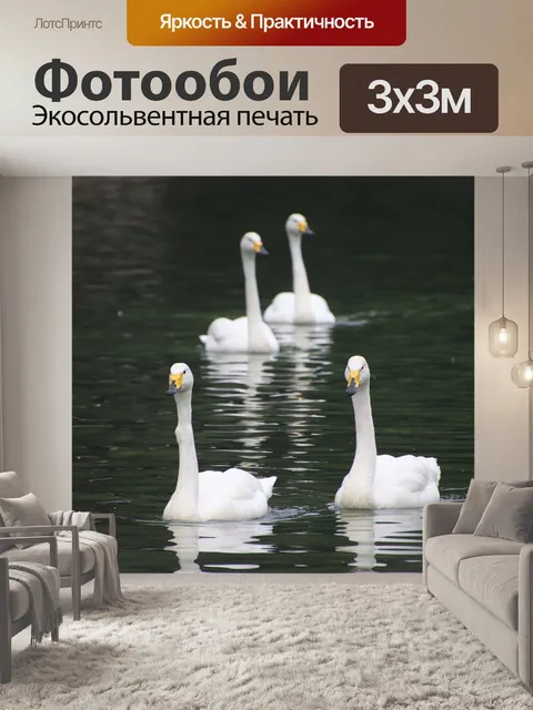 Фотообои Лебеди