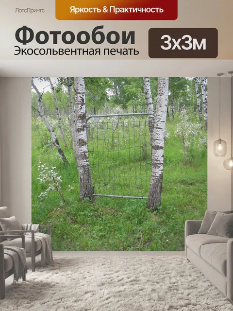Фотообои Ворота в области