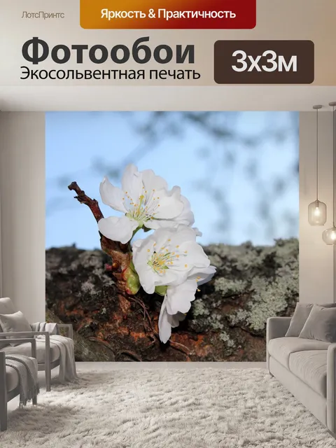 Фотообои Дерево