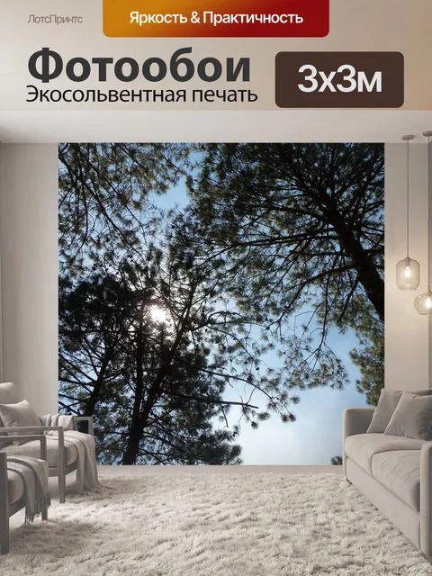 Фотообои Лес
