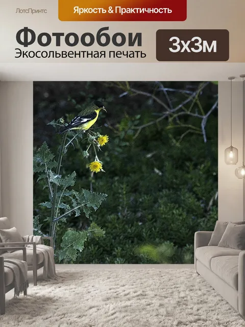 Фотообои Yellow Bird на желтый цветок