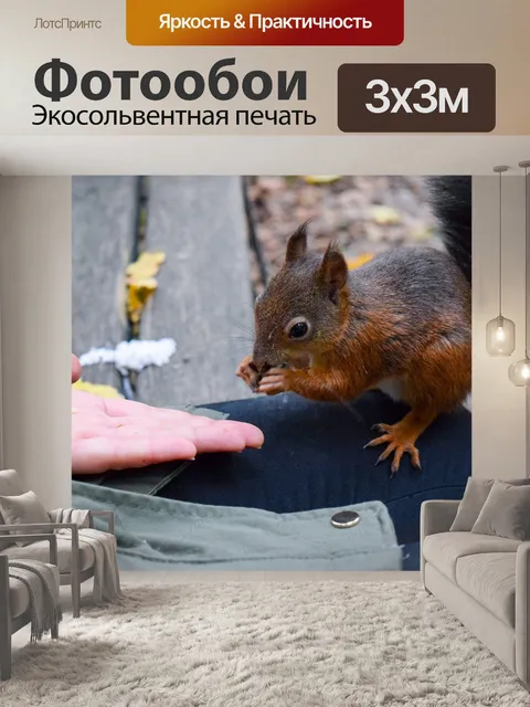 Фотообои Белка