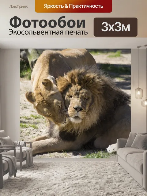 Фотообои Лев