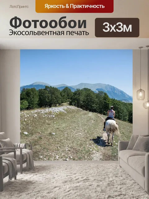 Фотообои Лошадь