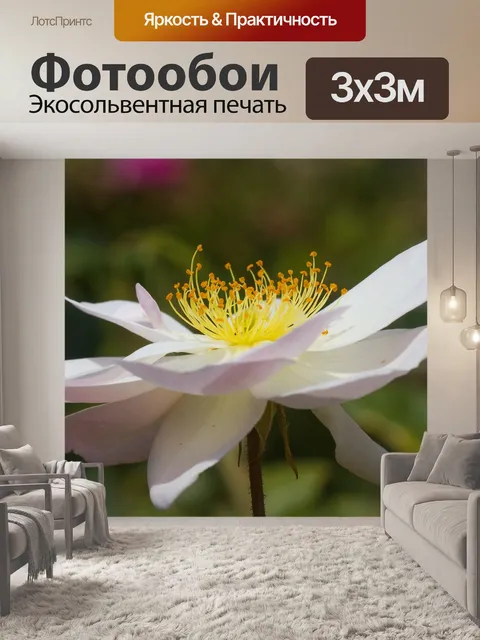 Фотообои Розы