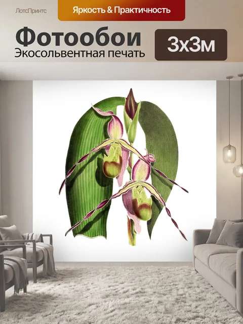 Фотообои Цветочный цветок старинное искусство