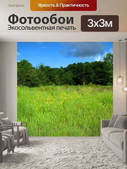 Фотообои Поля и деревья