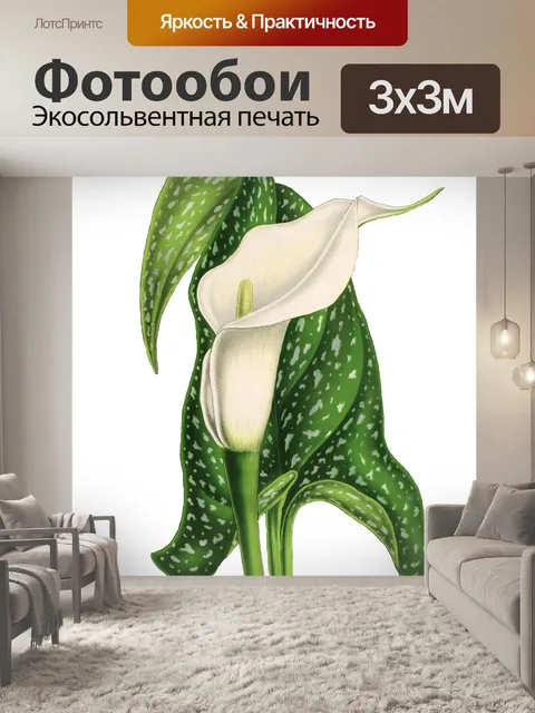 Фотообои Калла цветок винтаж