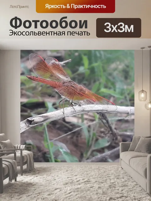 Фотообои Природа