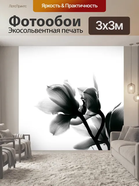 Фотообои Черное и белое