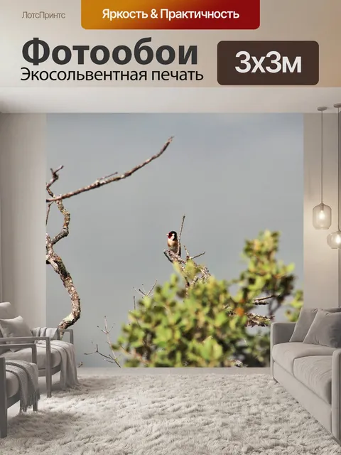 Фотообои Река