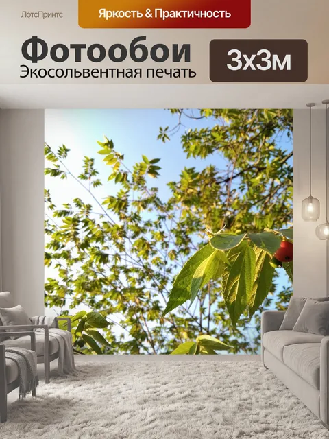 Фотообои Фрукты