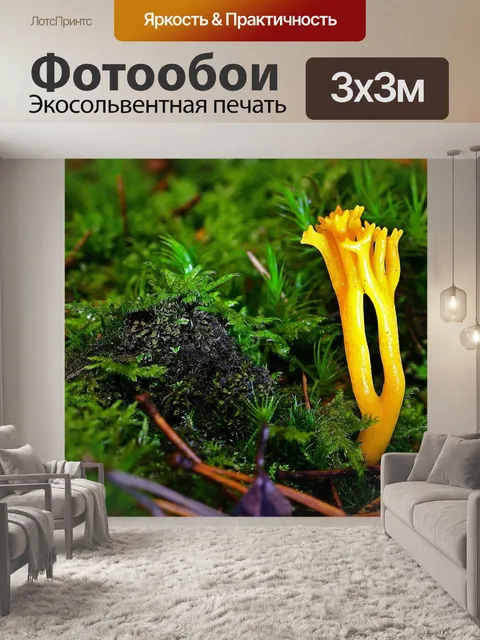 Фотообои Лес