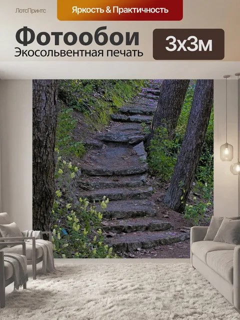Фотообои Кривые шаги через деревья