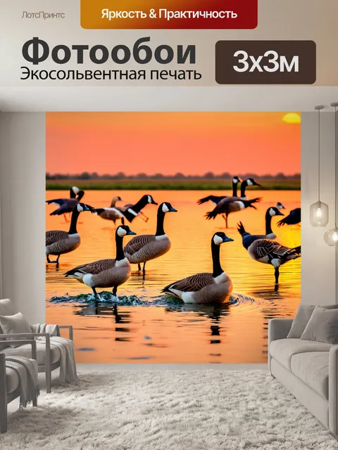 Фотообои охота на гусей на фоне заката, живые расцветки и порядка 10 гусей в движении