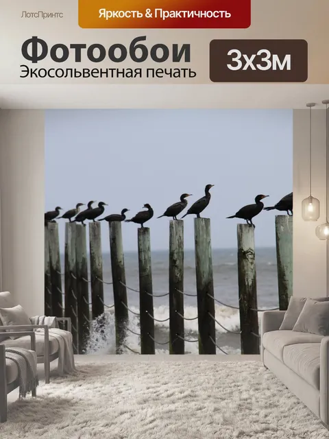 Фотообои Птицы