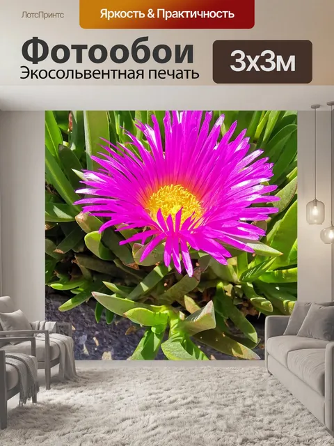 Фотообои Природа