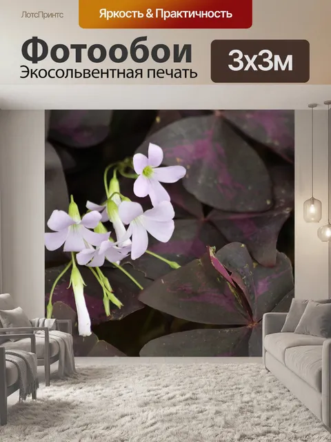 Фотообои Фиолетовые трилистники и цветы