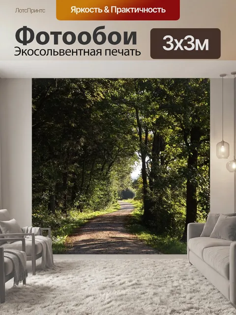 Фотообои Лесная тропа
