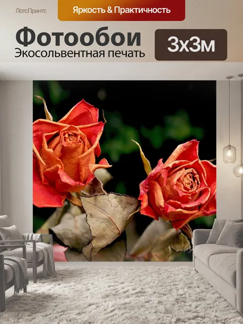 Фотообои Розы