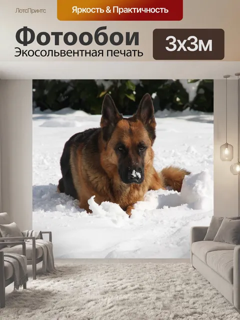 Фотообои Собаки