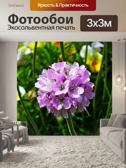 Фотообои Цветы