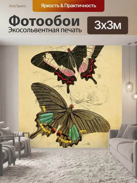 Фотообои Винтажные бабочки