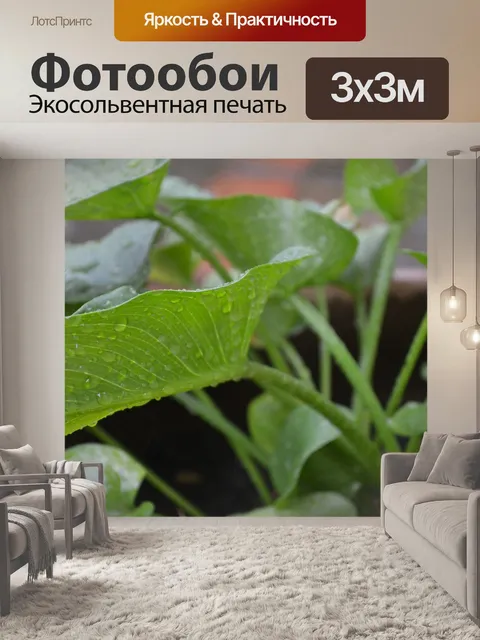 Фотообои Листья