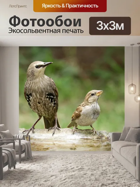 Фотообои Птицы