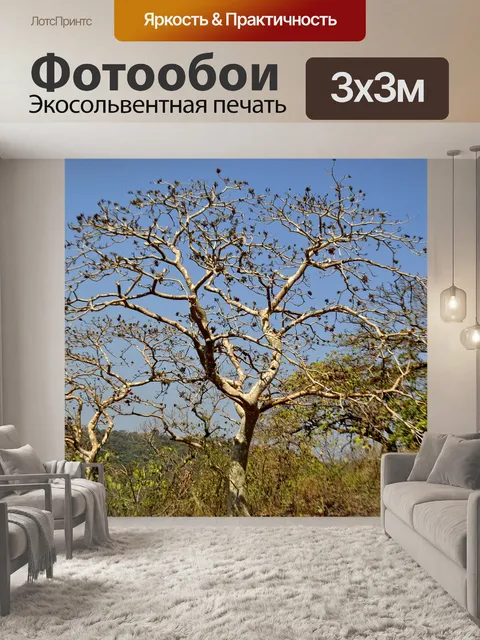 Фотообои Дерево
