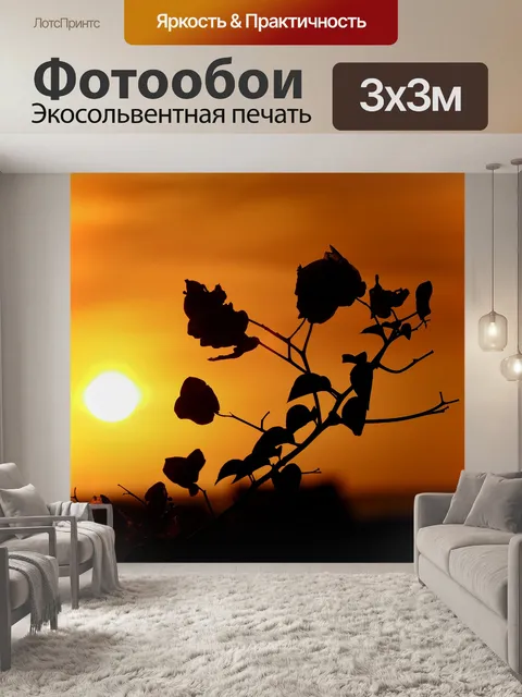 Фотообои Закат