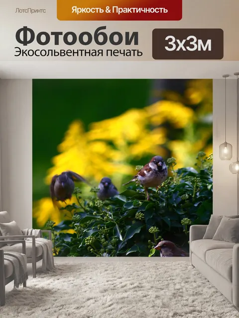 Фотообои Птицы