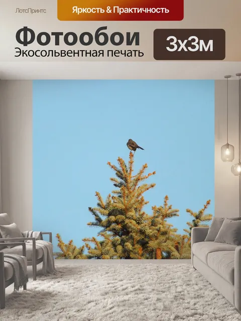 Фотообои Птицы на дереве верхней
