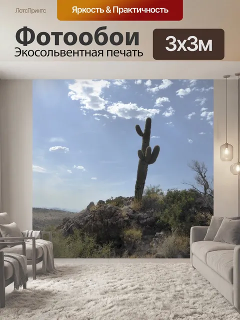 Фотообои Сагуаро Силуэт
