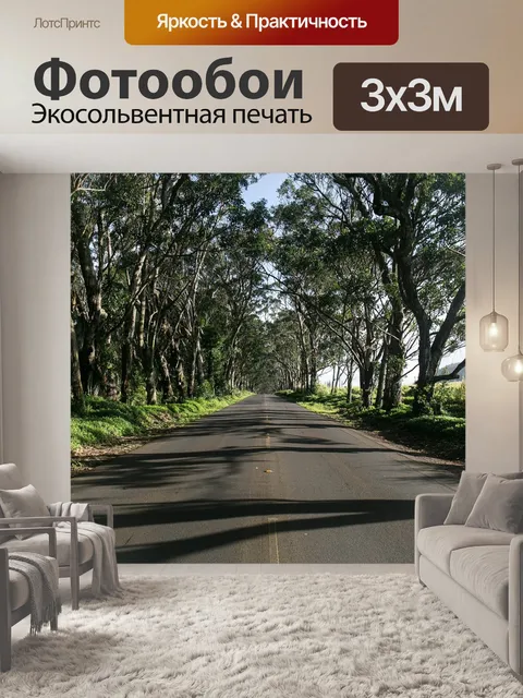 Фотообои Дорога