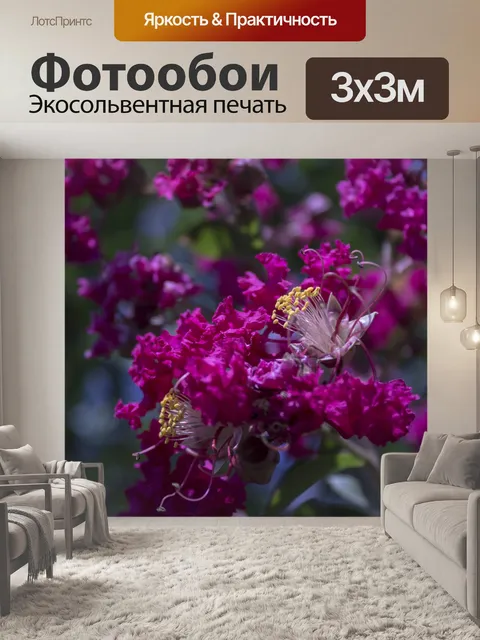 Фотообои Розовый рай