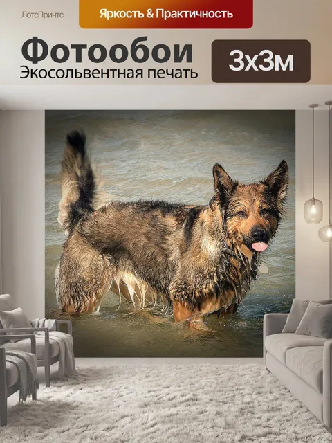 Фотообои Собака