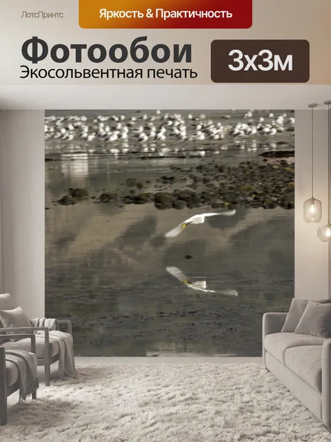 Фотообои Цапля в полете