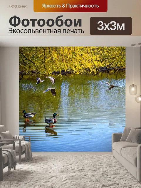 Фотообои весна, лесное озеро, отражение деревьев в воде, какаши на отмелях, птицы, летающие над водной гладью…