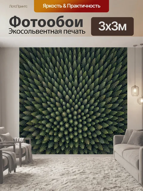 Фотообои Вид сверху на хвойный лес