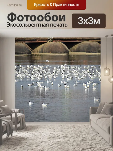 Фотообои Чаек стая