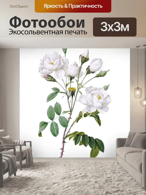 Фотообои Роза Винтаж Искусство Клипарт