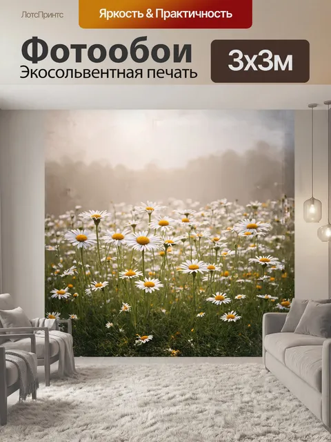 Фотообои ромашки в туманном рассвете