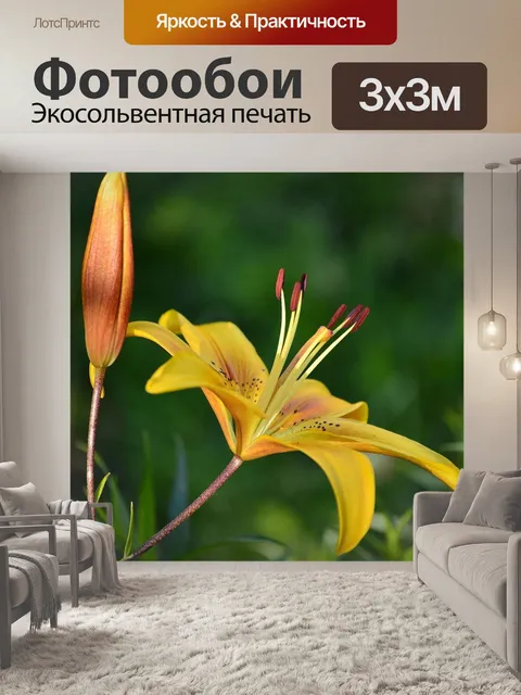 Фотообои Цветы