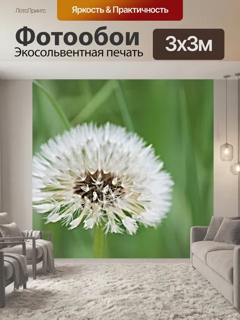 Фотообои Одуванчик