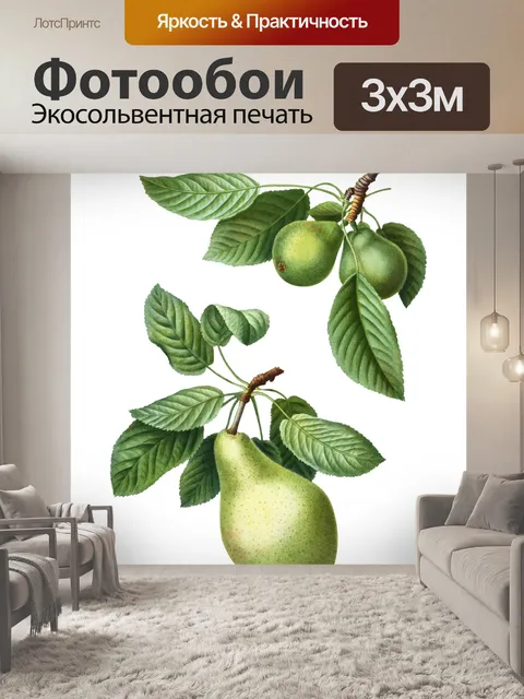 Фотообои Фрукты груши Винтаж клипарт