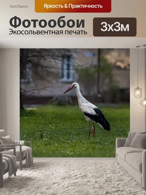 Фотообои Белый аист