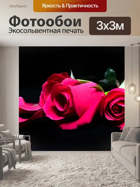 Фотообои Роза