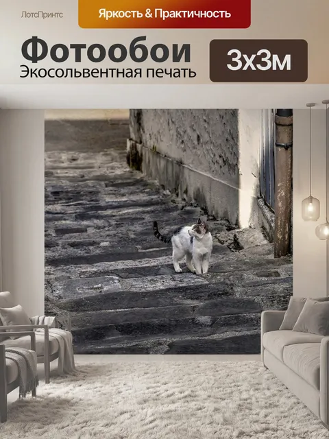Фотообои Кошка