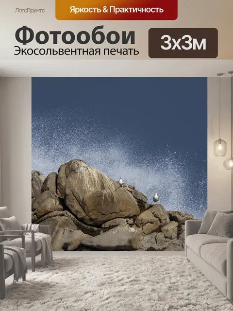 Фотообои чайка и всплеск волны